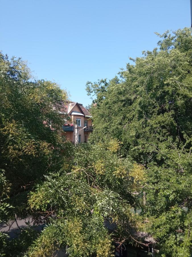 Free Parking, Balcony, Near To City Park Budapest Exterior foto
