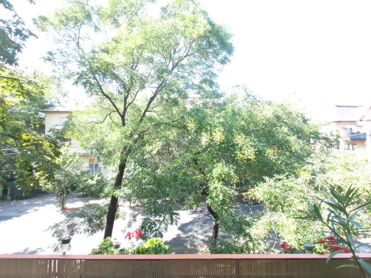 Free Parking, Balcony, Near To City Park Budapest Exterior foto