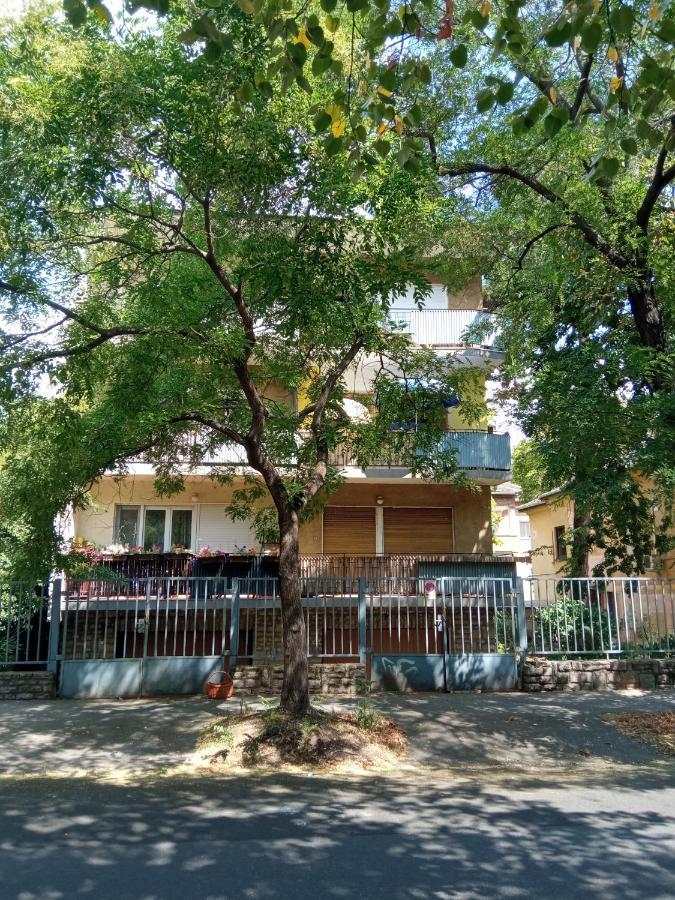 Free Parking, Balcony, Near To City Park Budapest Exterior foto