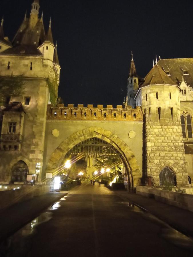 Free Parking, Balcony, Near To City Park Budapest Exterior foto